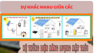 su khac nhau giua cac