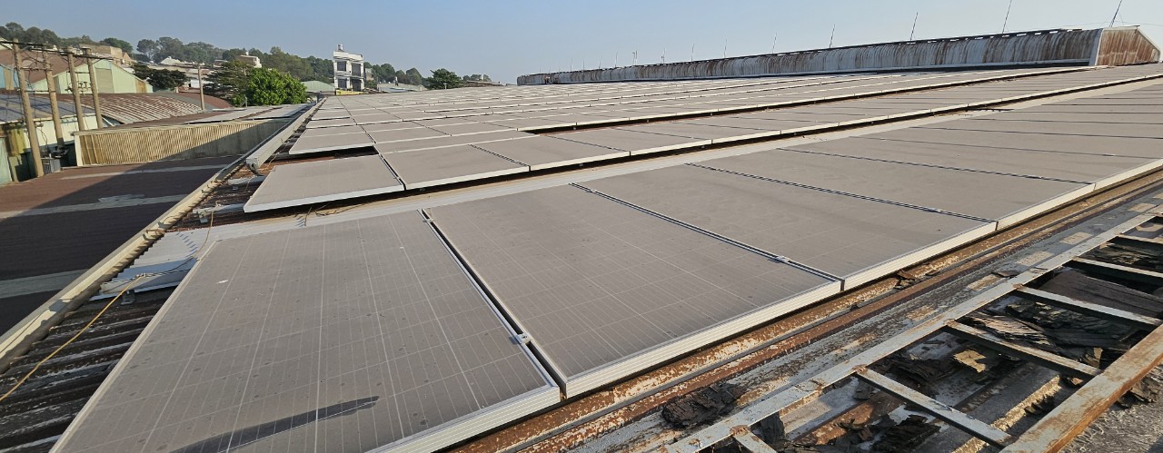 z5262738837505 39d8b85c77f471486ea287d49eeb17bf