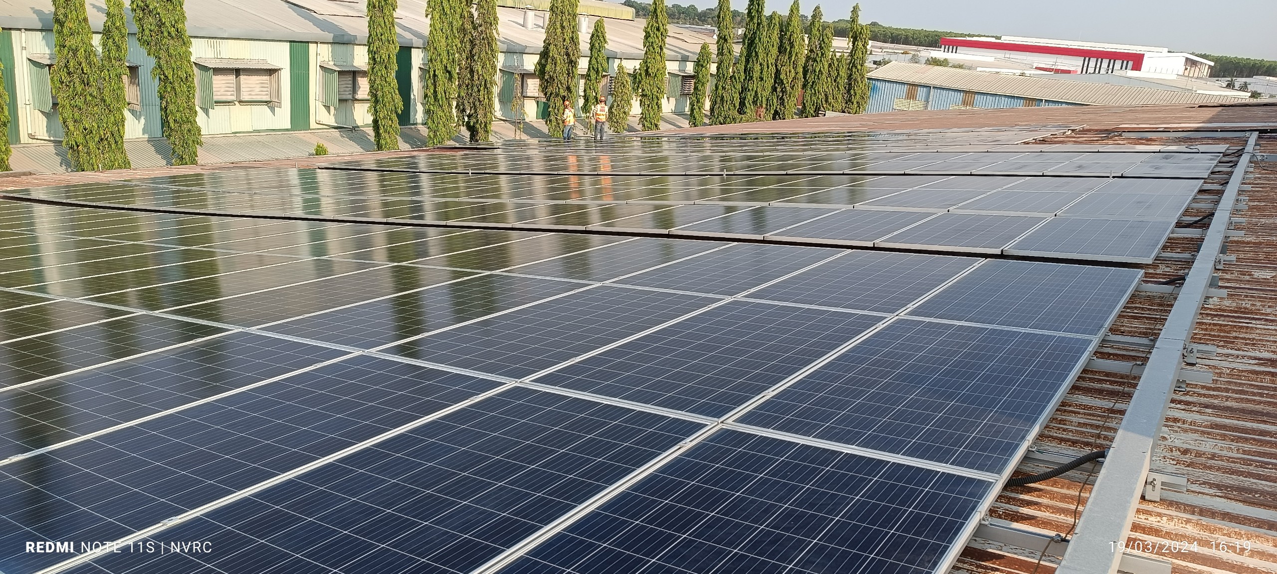 z5264599935710 ceb8ff56b1f5c453d350ea391cbd9535