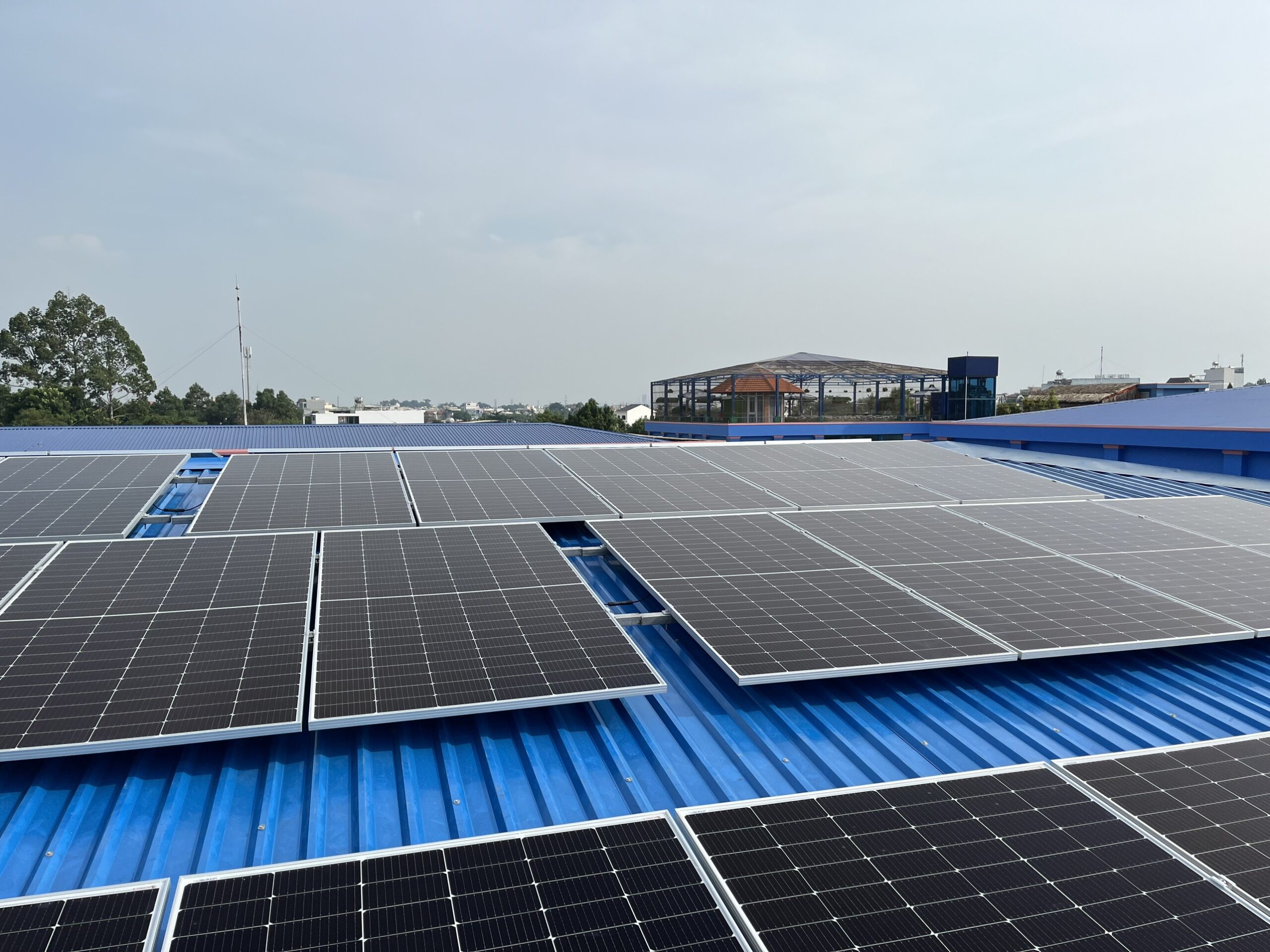 z5596910272880 fa62796ee0e38682b5999e87850688ec scaled